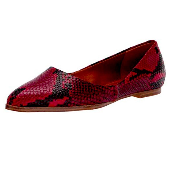 Zodiac Hill Flat - Picture 1 of 8